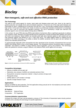 UniQuest 1pg Brief