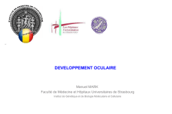 P&eacute;doncule optique