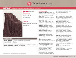INSTRUCTIONS FOURNITURES Bernat&reg; Blanket&trade; (10.5 oz/300 g