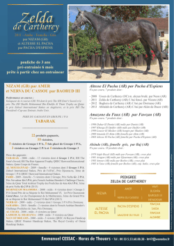 Zelda Zelda - Haras de Thouars