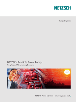 NETZSCH Multiple Screw Pumps, Thirty Years of manufacturing