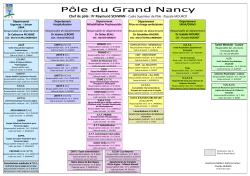 organigramme pole Grand Nancy ( PDF - 388.4 ko)