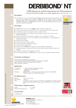 Fiche technique Derbibond NT