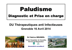 Paludisme DUTAI Grenoble 16 avril 2014 F.Bruneel