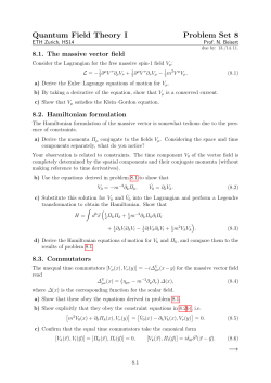 Quantum Field Theory I, Problem Set 8