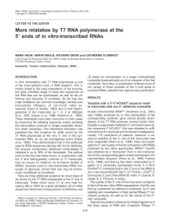 More mistakes by T7 RNA polymerase at the 59