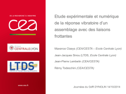 Invitation fete unite &ndash; 21 MARS 2015