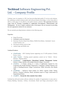 Techlead Profile (pdf)