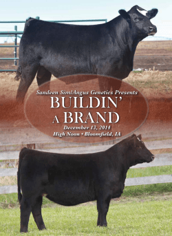 Catalog - Schooley Cattle Co