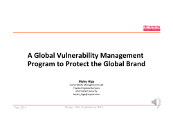 A Global Vulnerability Management Program to Protect the Global