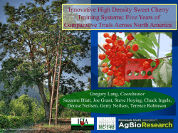 Innovative High Density Sweet Cherry Training Systems: Five Years