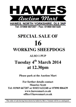 SPECIAL SALE OF WORKING SHEEPDOGS Tuesday 4 March