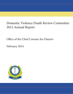 Domestic Violence Death Review Committee Annual Report 2012