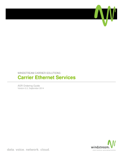 Carrier Ethernet Services - Windstream Carrier Solutions