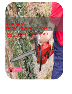 Download E-book (PDF)