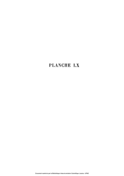 PLANCHE LX