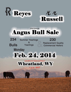 Angus Bull Sale Reyes/Russell - Torrington Livestock Markets