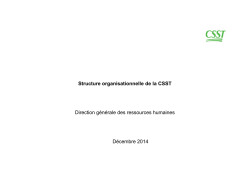 Structure organisationnelle de la CSST Direction g&eacute;n&eacute;rale des