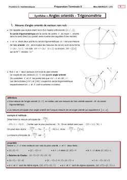Synthèse  Angles orientés - Trigonométrie - ambition