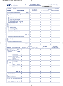 IMMOBILISATIONS DGFiP N° 2054 2014