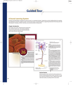 Guided Tour (16668.0K)