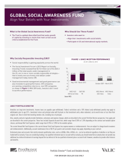 GLOBAL SOCIAL AWARENESS FUND
