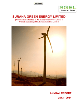 Annual report 2013–14 - Surana Green Power Limited