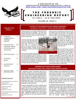 THE FORENSIC ENGINEERING REPORT