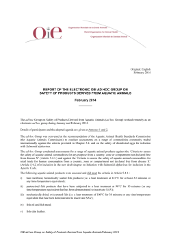 REPORT OF THE ELECTRONIC OIE AD HOC GROUP ON SAFETY