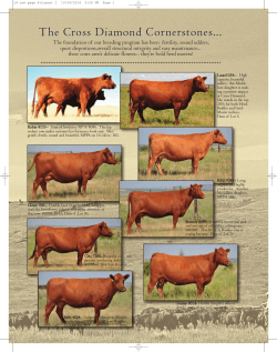 Catalog pages 8-11 (Reference cows and sires)