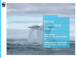Scientific perspectives on cumulative effects in marine ecosystems