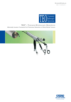 TEO® – Transanal Endoscopic Operations EndoWorld
