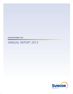 ANNUAL REPORT 2013