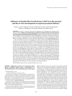 Influence of Insulin-like Growth Factor I (IGF