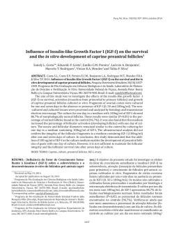 Influence of Insulin-like Growth Factor I (IGF