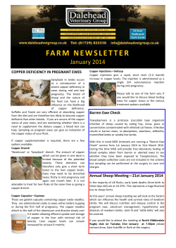 Newsletter January 2014 jsm .pub