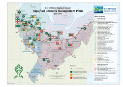 Hapu/Iwi Resource Management Plans