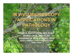 IN VIVO MICROSCOPY APPLICATIONS IN PATHOLOGY
