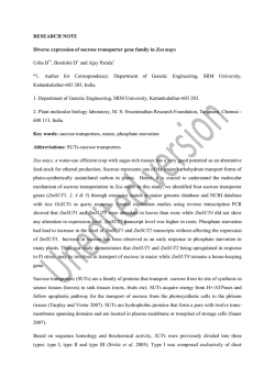 PDF file