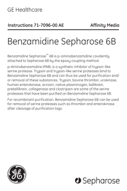 Benzamidine Sepharose 6B - GE Healthcare Life Sciences