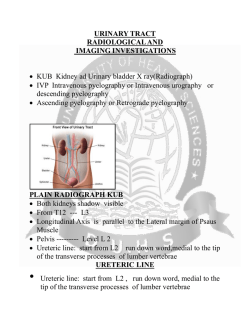 IVP Intravenous