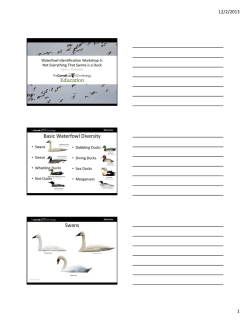 Download the handout for part five