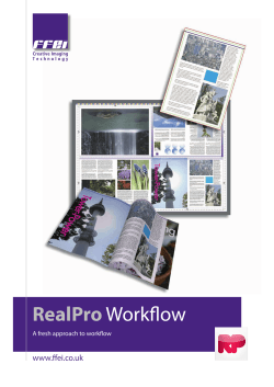 RealPro Workflow