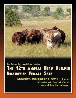 Download 2014 Herd Builder Sale Catalog now!