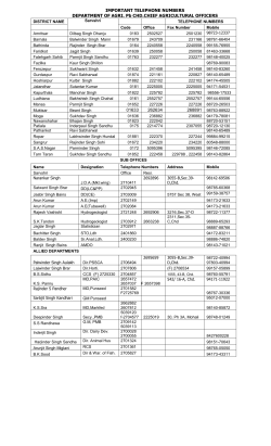 IMPORTANT TELEPHONE NUMBERS