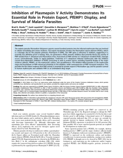 Inhibition of Plasmepsin V Activity Demonstrates Its Essential Role in