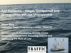 Glenn Sant, Global Marine Programme Leader, TRAFFIC
