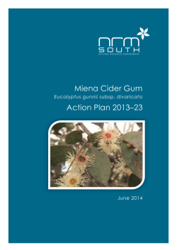 Miena Cider Gum Action Plan June 2014