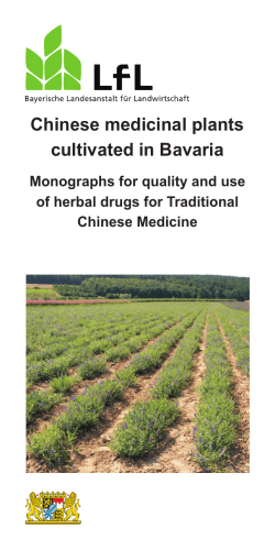 IPZ-Chinese Medicinal Plants made in Bavaria Broschüre