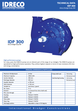 IDP 300 - IDRECO